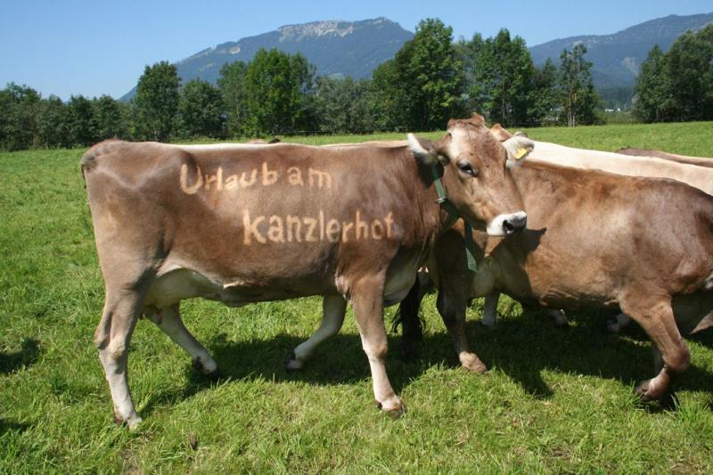 Kanzlerhof バート・ミッテルンドルフ エクステリア 写真